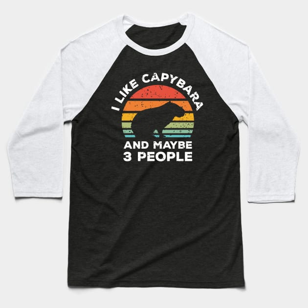 I Like Capybara and Maybe 3 People, Retro Vintage Sunset with Style Old Grainy Grunge Texture Baseball T-Shirt by Ardhsells